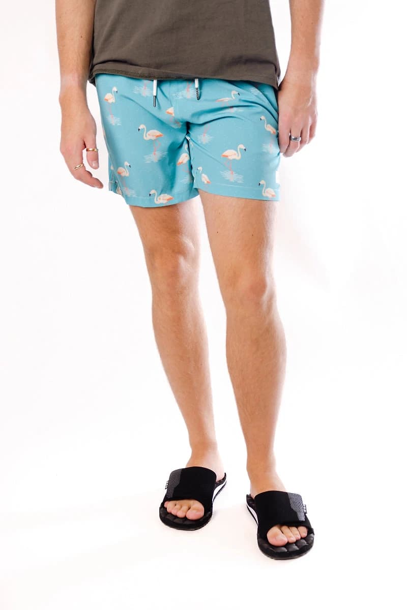Flamingo Flock Swim Shorts