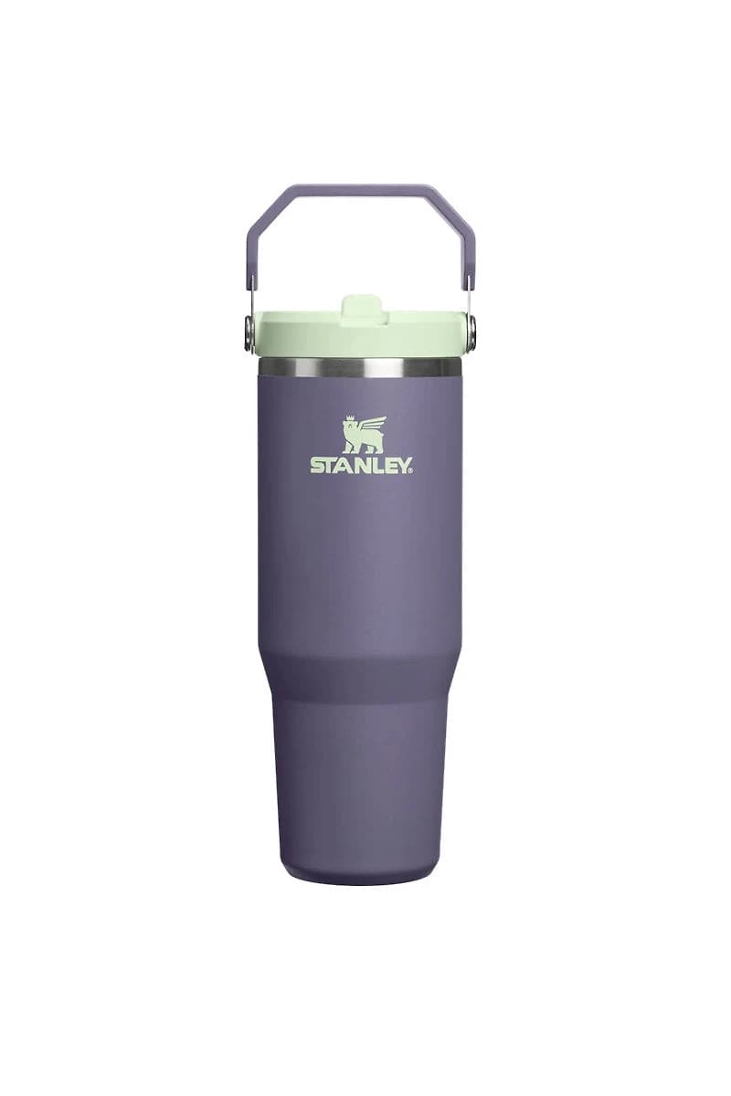 Iceflow Flip Straw Tumbler 30 oz - Purple Umbra
